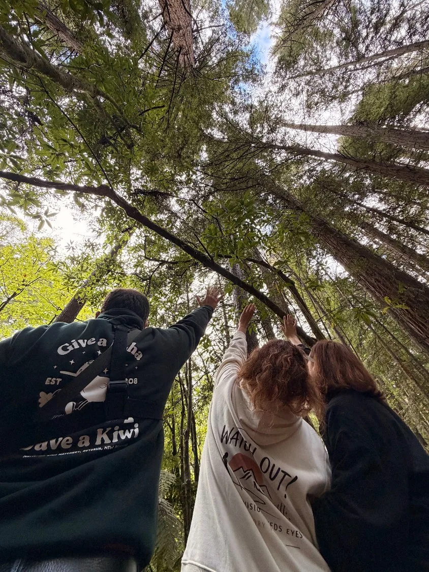 Three people stand beneath tall redwood trees, arms raised to touch a low branch as light filters through the canopy.