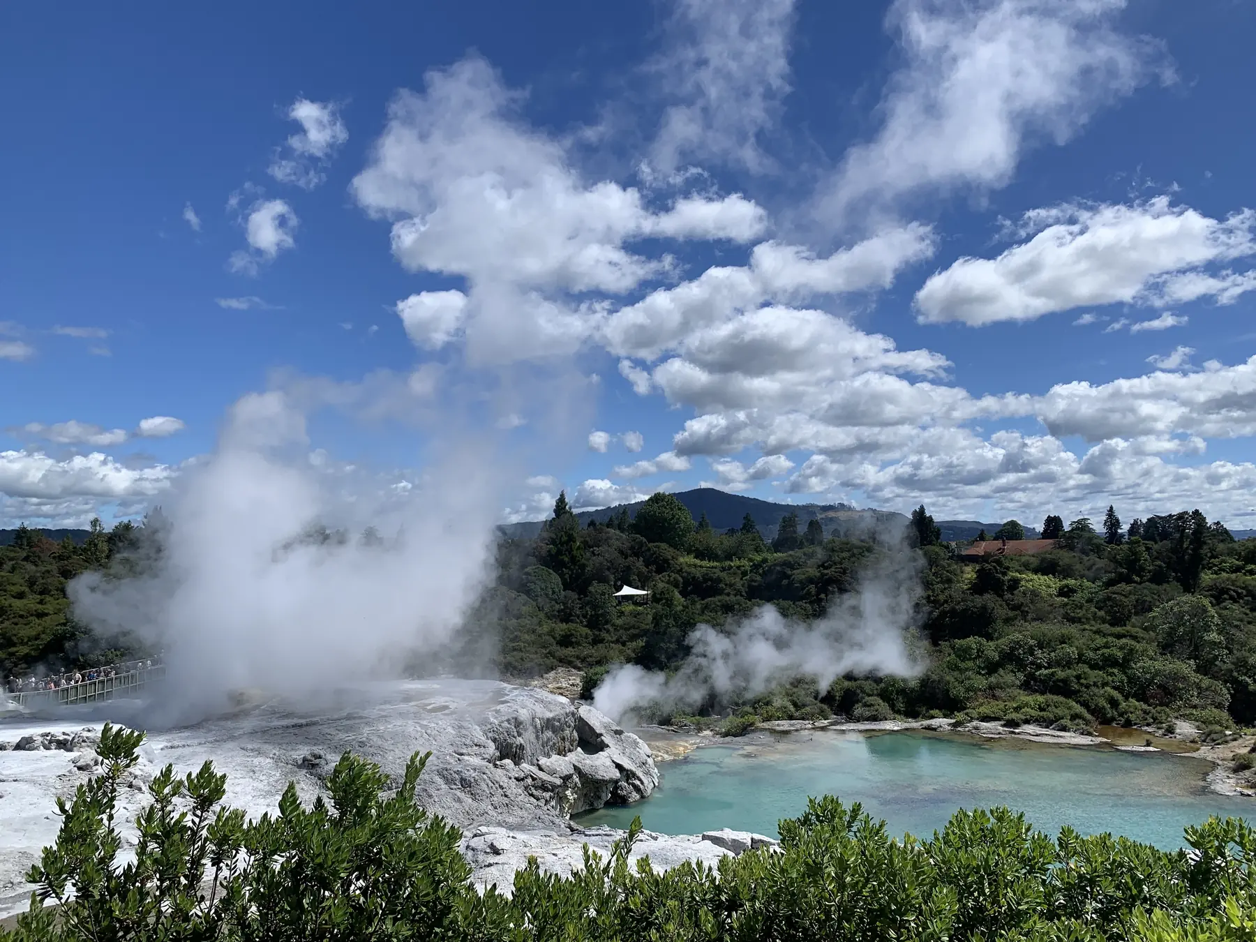 El géiser Pōhutu de Te Puia, en Rotorua, lanzando una columna de vapor caliente hacia un cielo azul con nubes, junto a una piscina termal turquesa entre vegetación nativa